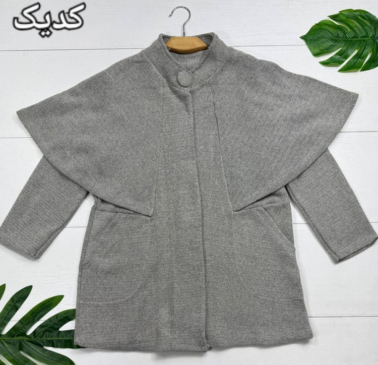 پالتو ونیز